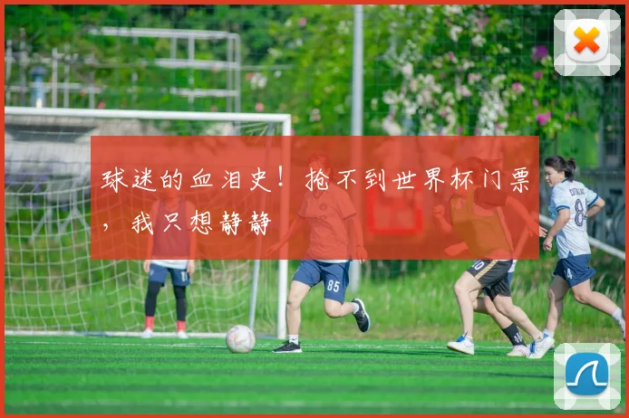 球迷的血泪史！抢不到世界杯门票，我只想静静